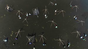 The Pha Tram Festival