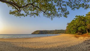 Tìm đúng chất – Chạm đúng cảm