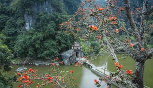 Trầm tích Hoa Lư