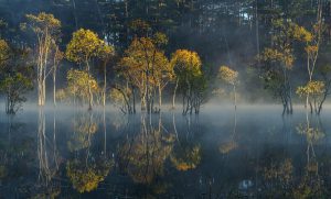 Say đắm hương rừng, nồng nàn vị biển