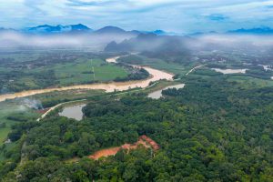 Hương sắc 4 mùa xứ Thanh