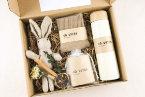 Nghệ thuật chọn quà 20/11 tinh tế và đầy ý nghĩa dành tặng thầy cô