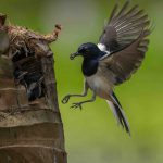 Khoảnh khắc sinh tồn