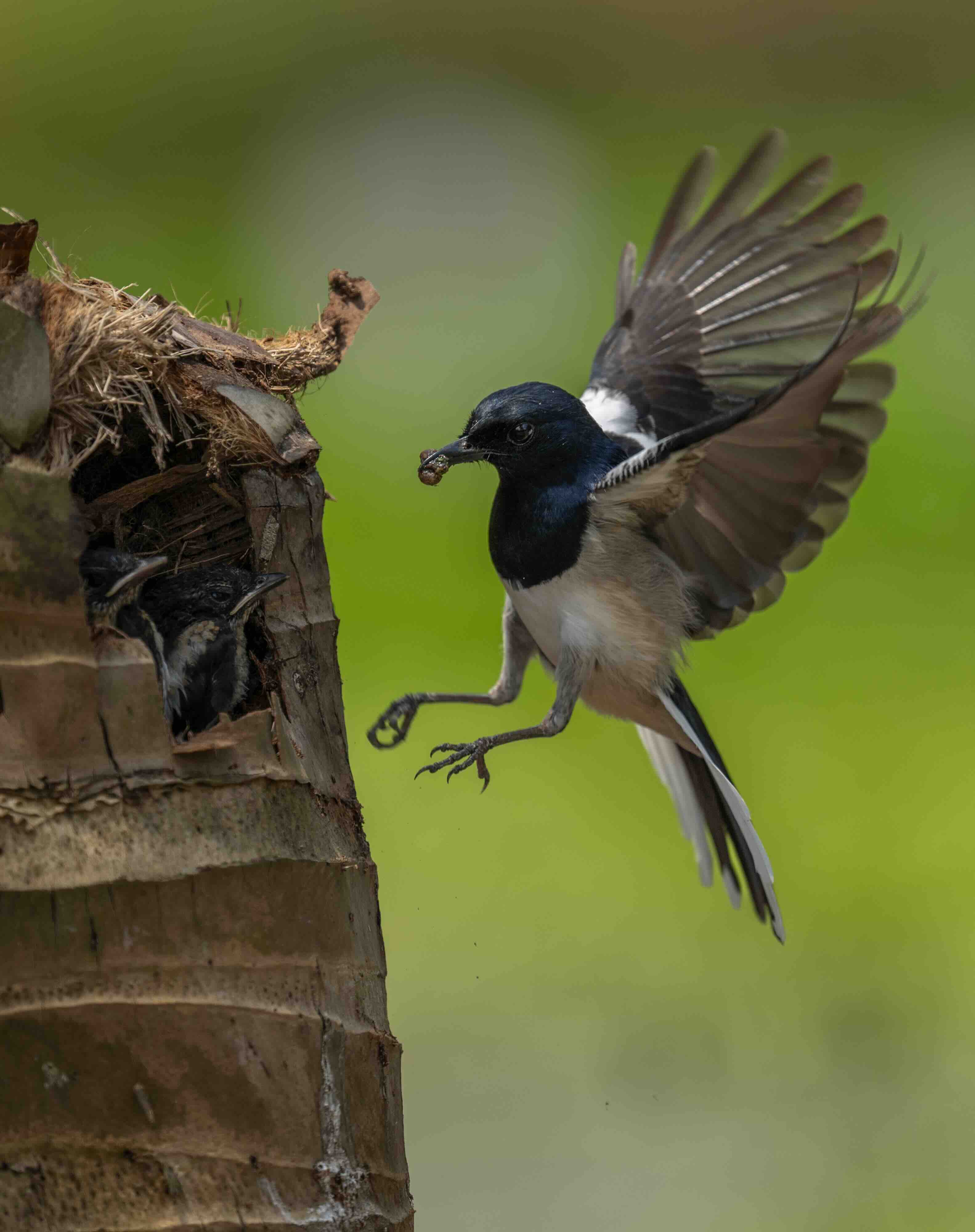 Khoảnh khắc sinh tồn