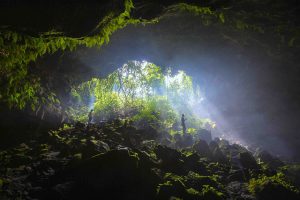 Những mao mạch bazan giữa đại ngàn