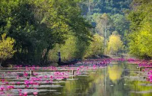 Bốn mùa lướt nhẹ qua phố