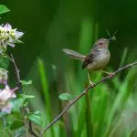 Khoảnh khắc sinh tồn