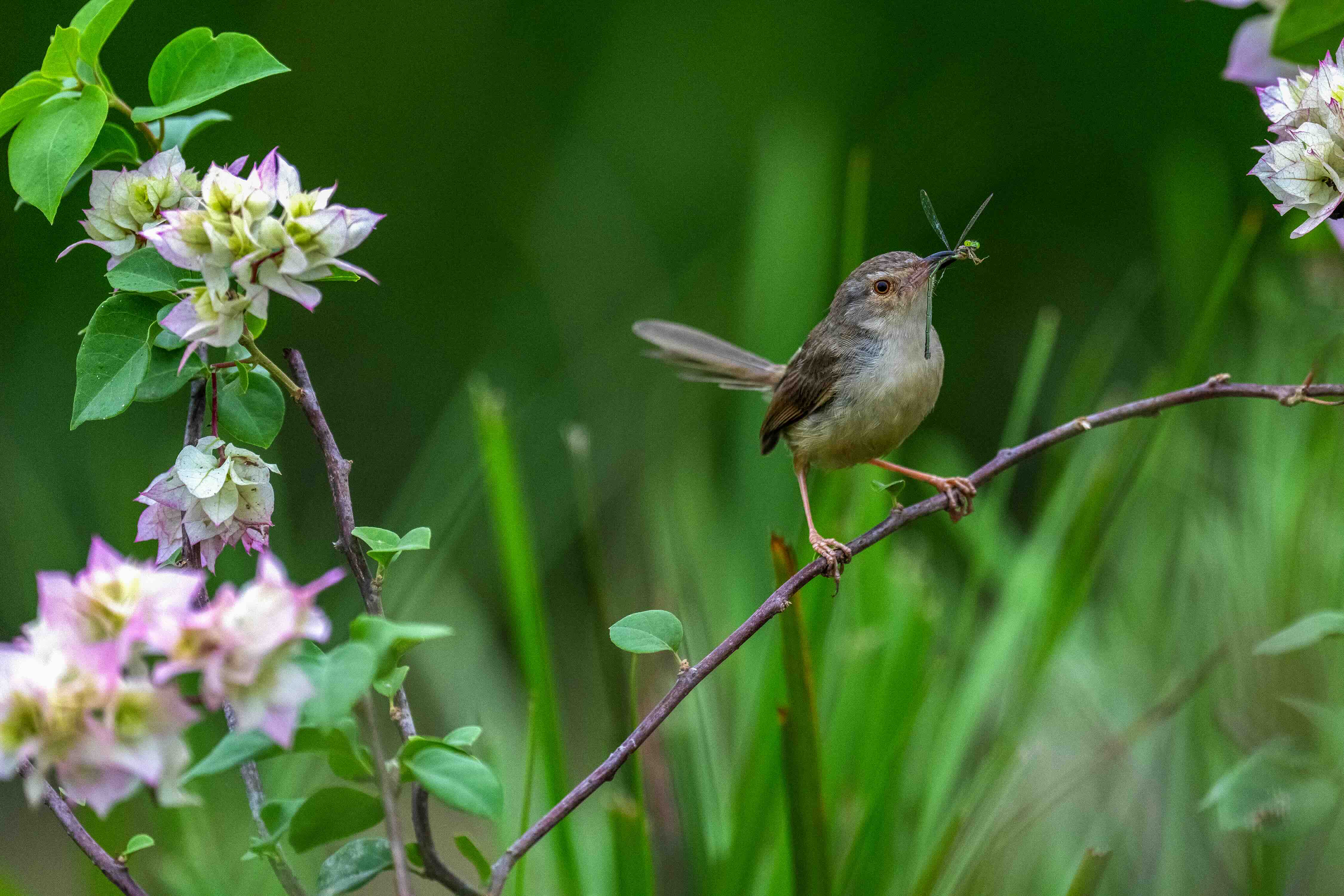 Khoảnh khắc sinh tồn