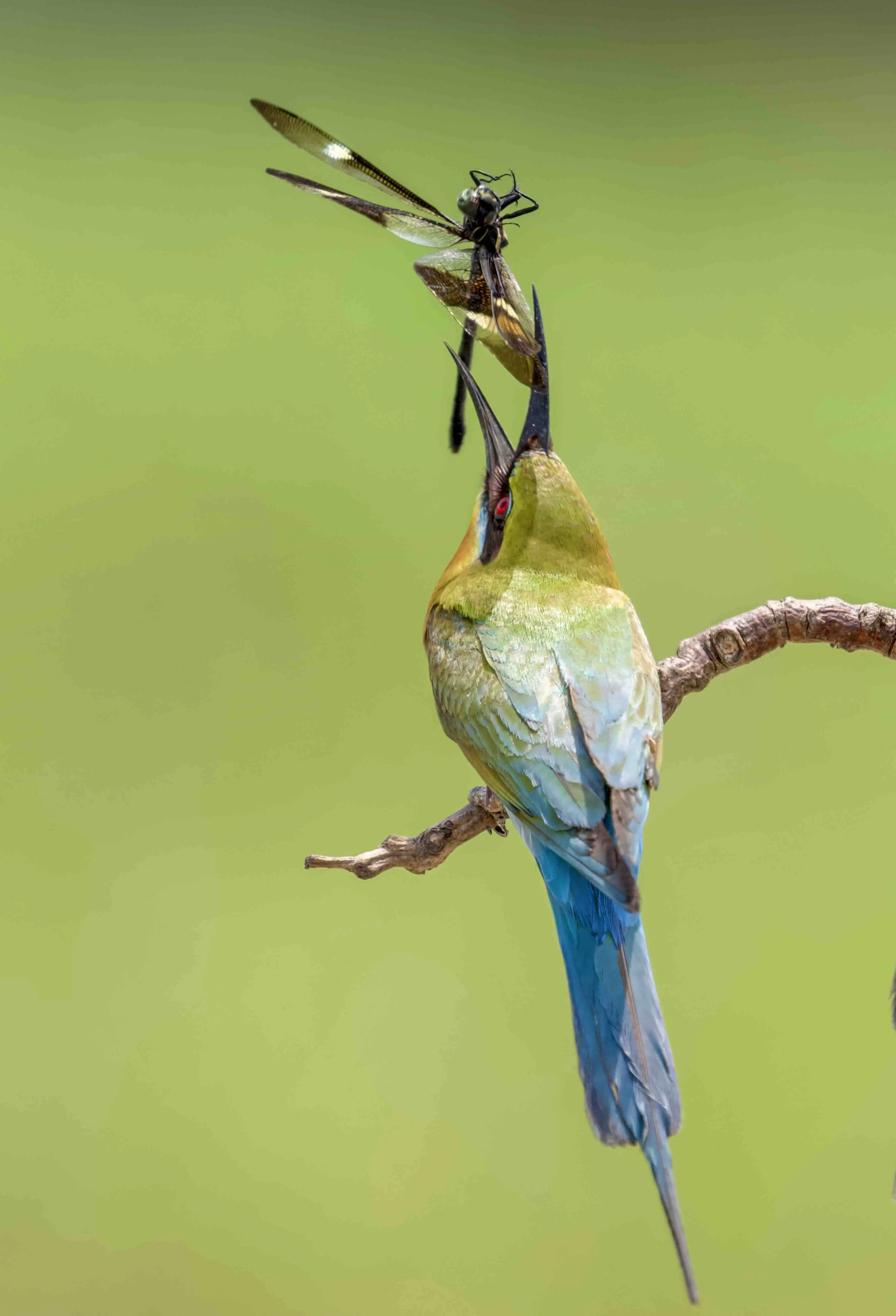 Khoảnh khắc sinh tồn