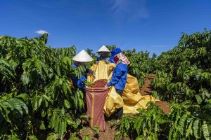 Sức sống mới cho làng quê Việt