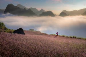 The Stone Plateau’s winter coat