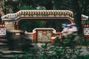 The image of the horse in hue decorative arts