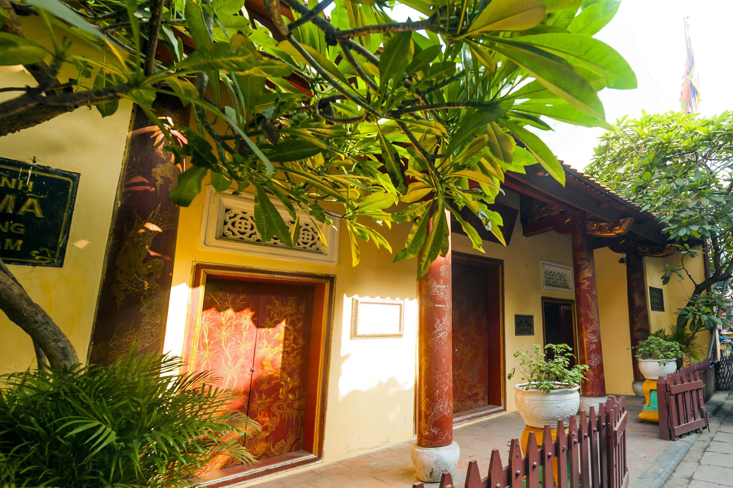 DSC 8153 Copy Scaled