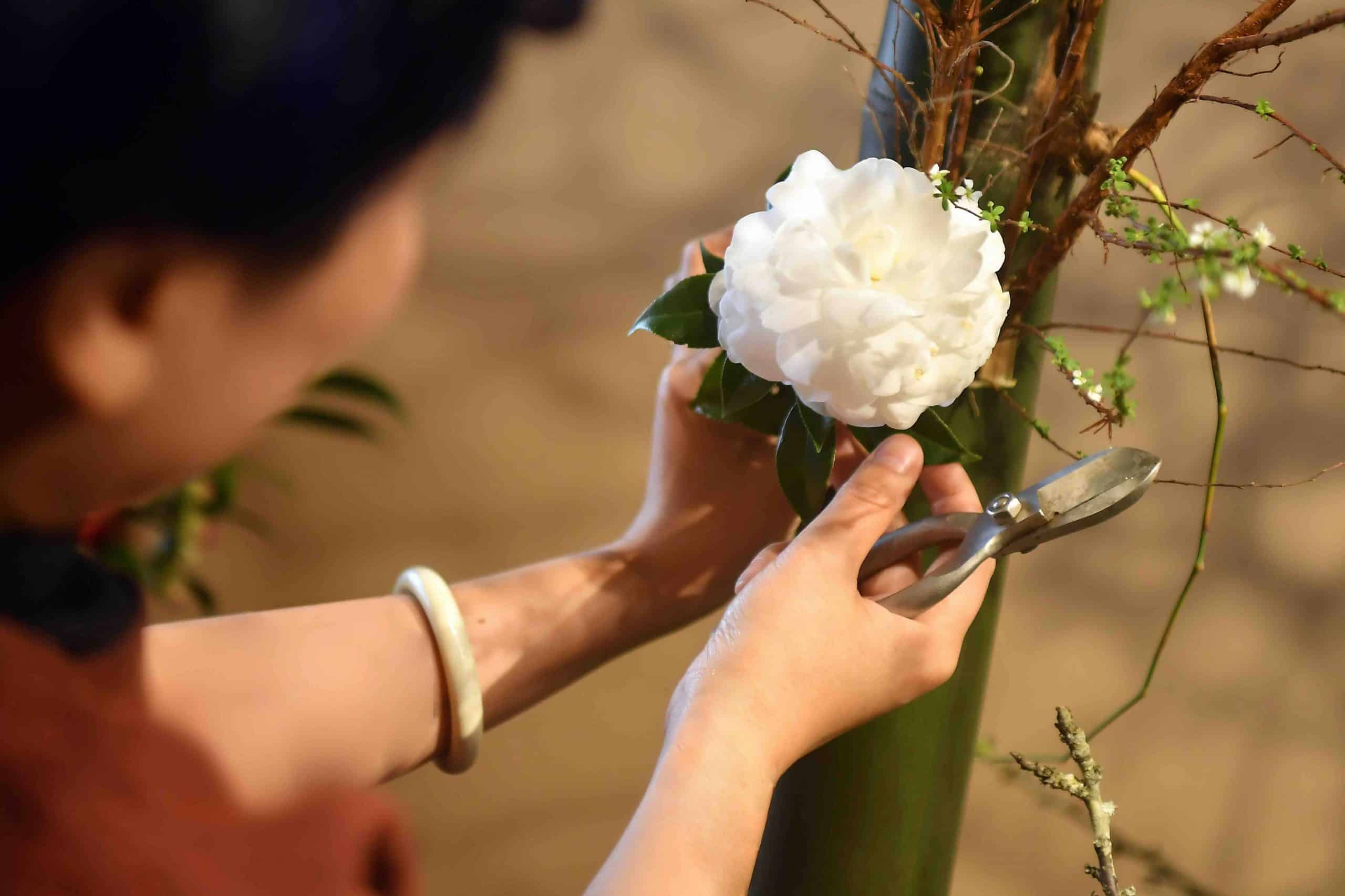 DSC 8924 Copy Scaled