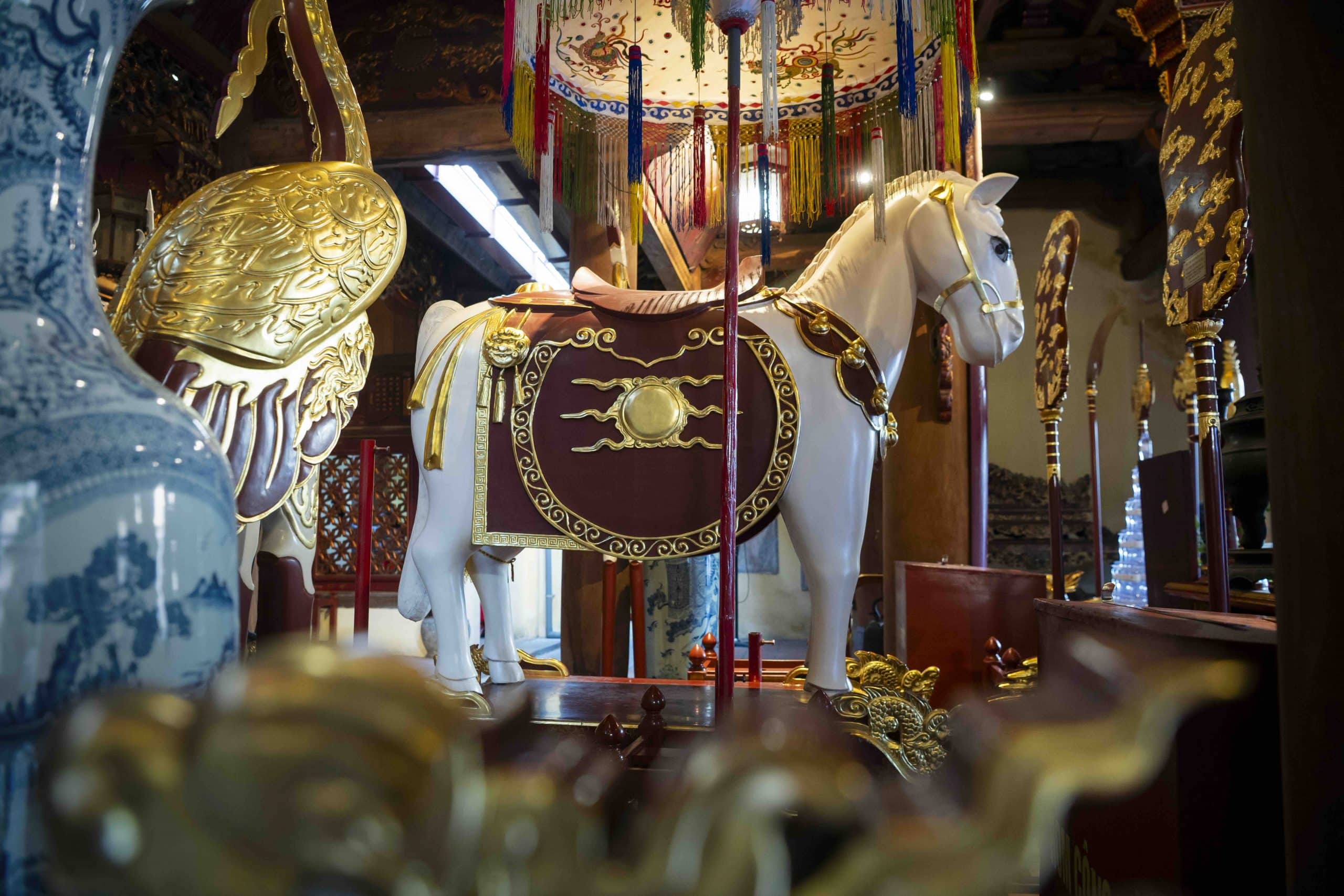 DSC 9572 Copy Scaled