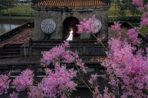 Hẹn hò mùa ngô đồng xứ Huế