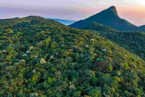 Xuân về trên đỉnh Pa Thiên