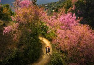 Tết người Mông giữa nhịp sống Mù Cang Chải