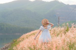 Sắc hồng lãng mạn ở đập Thọ Sơn