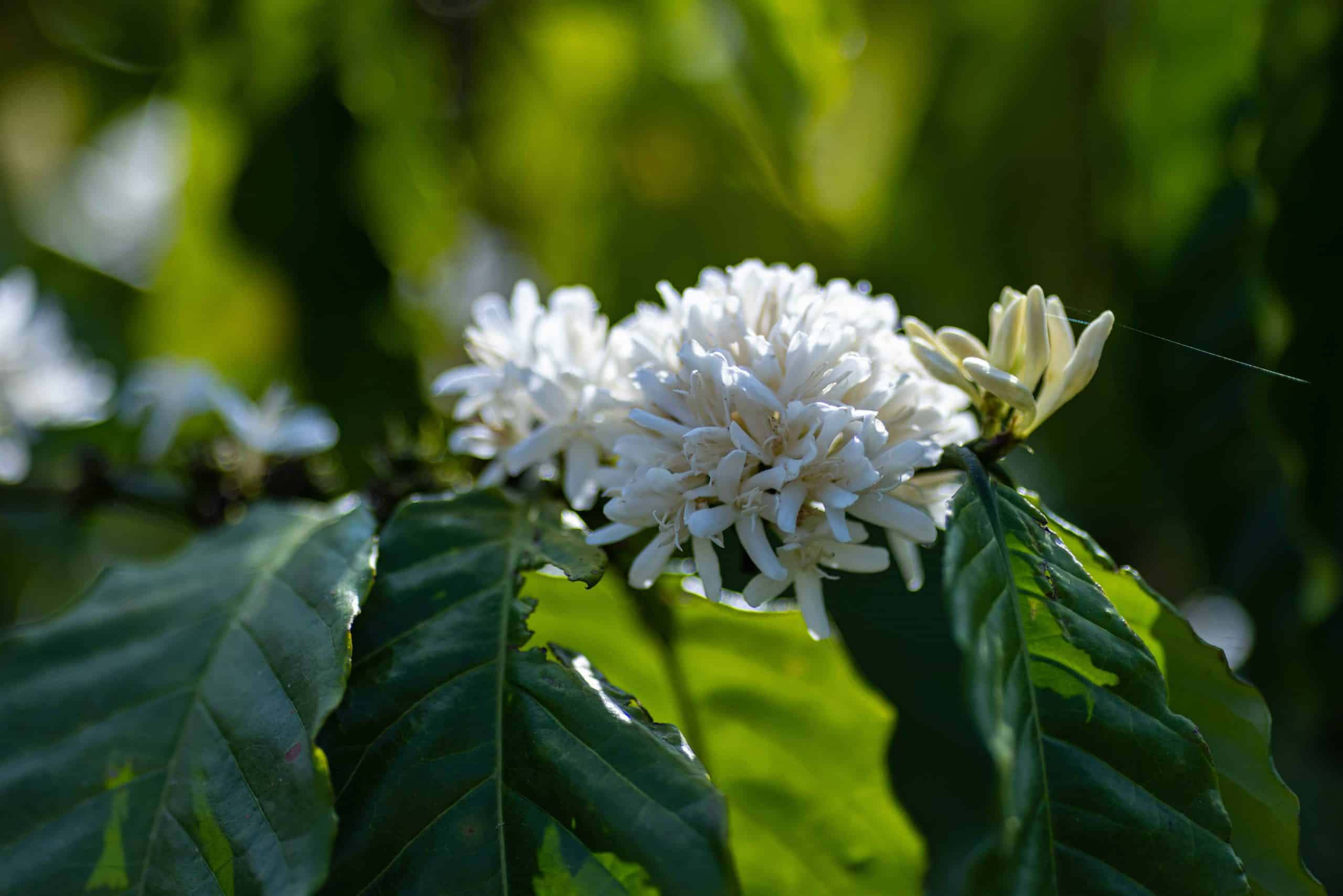 Ảnh Trong Bài 1 Scaled