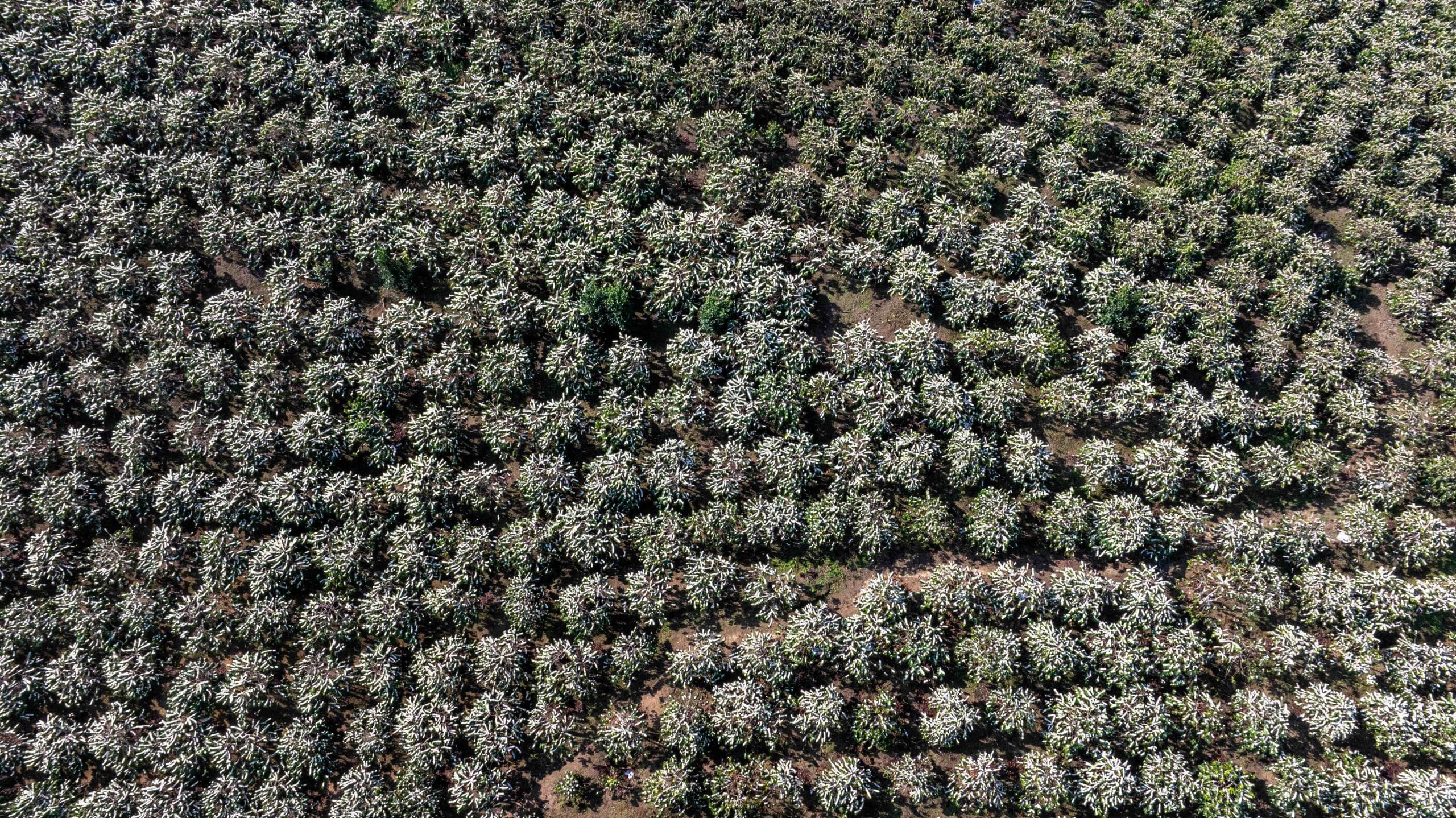 Ảnh Trong Bài 2 Scaled