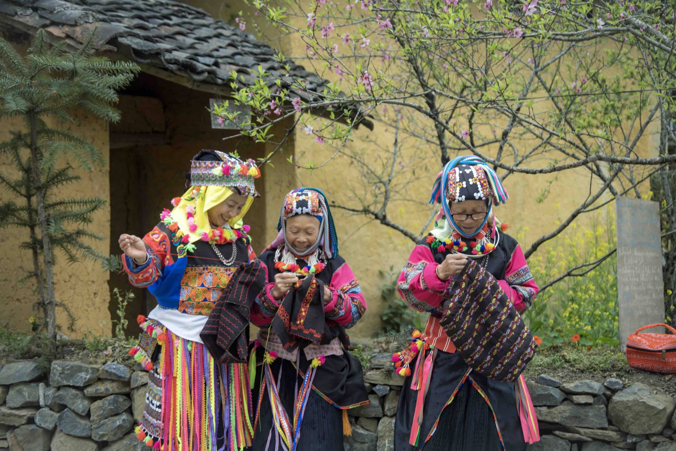 Nguyễn Hải Lô Lô Chải 5 Scaled