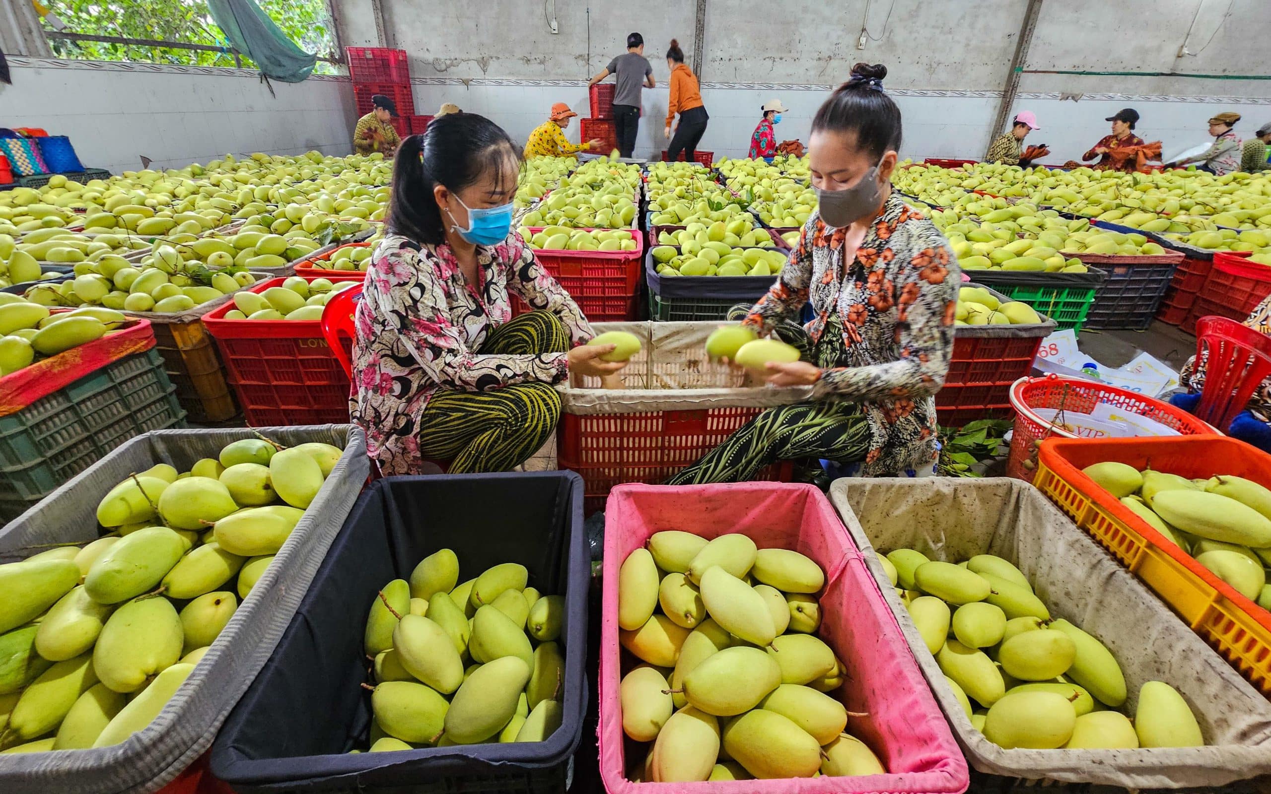 Businessh284 004 Scaled