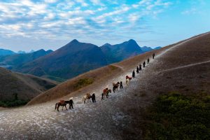 Huyền thoại miền sơn cước