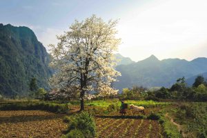 The legend of the highland trails