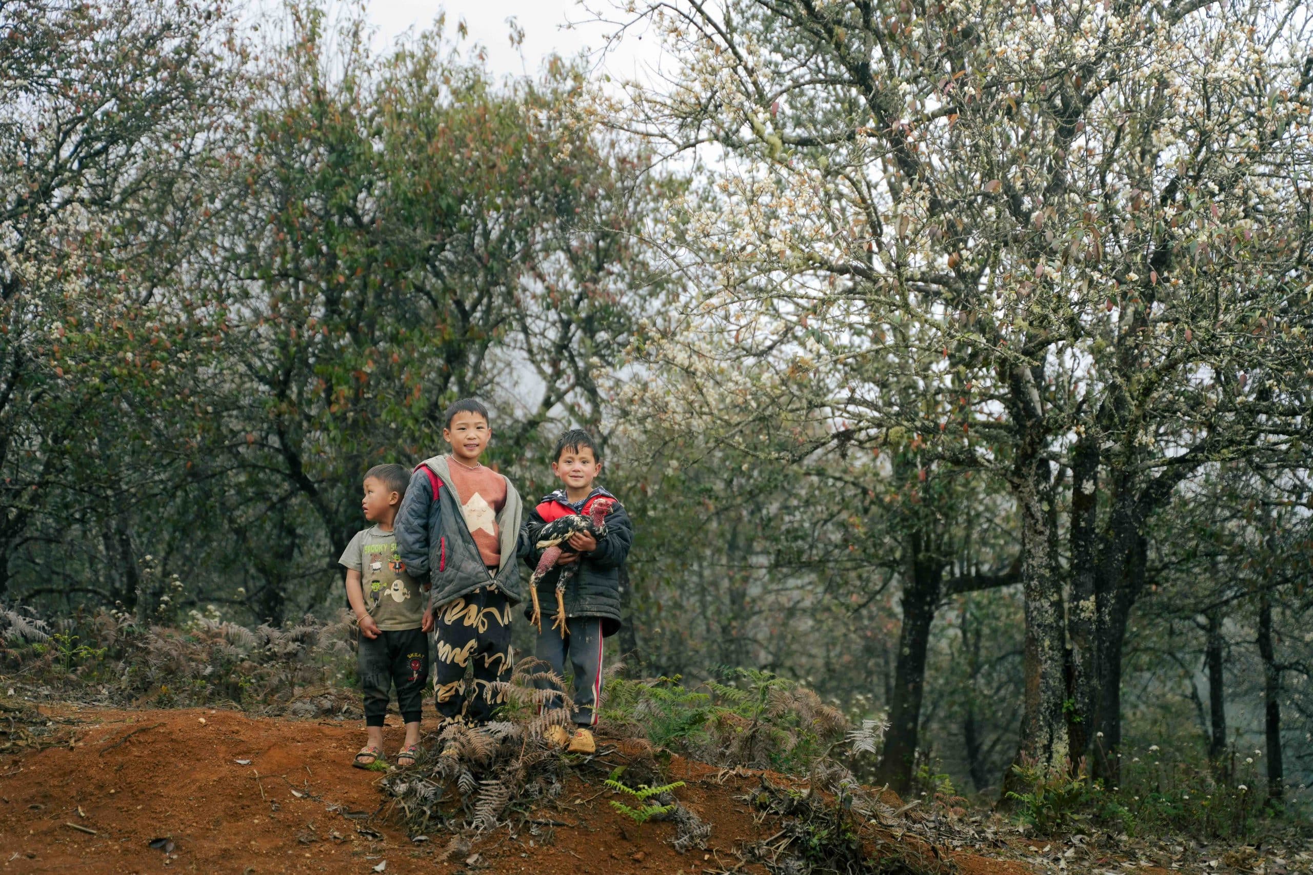 Namnghieptrongsuong 005 Scaled