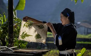 Người Nùng An giữ nghề làm giấy bản