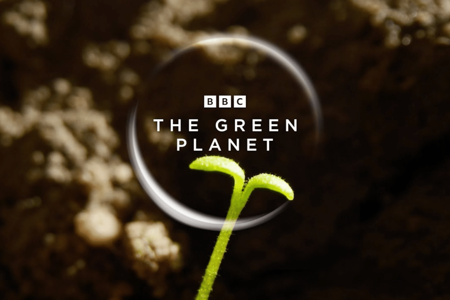 Phimtailieuthiennhien 2