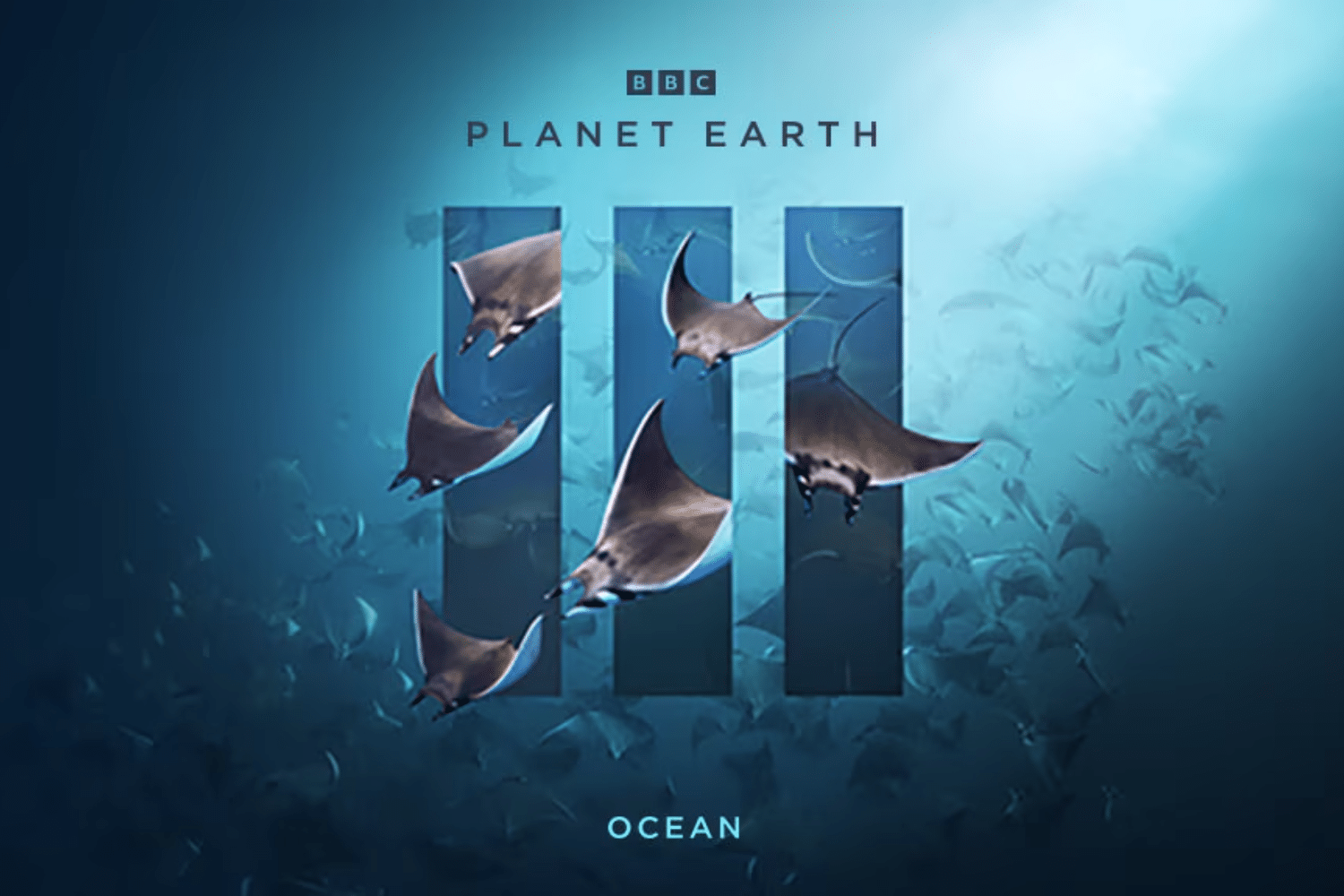 Phimtailieuthiennhien 4