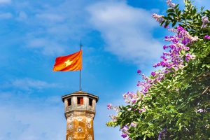Hà Nội mùa bằng lăng: “Thay áo” đón hè