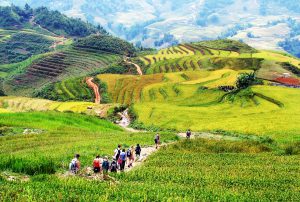 Xu hướng “micro-cation”: Khi giới trẻ chọn nhiều chuyến đi ngắn thay vì kỳ nghỉ dài