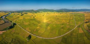 Ghé Tây Hòa ngắm vựa lúa miền Trung