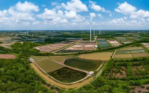 Harvesting the wind on the Western Sea