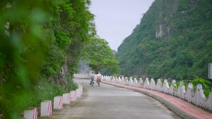 Việt Hải – Khoảng lặng nằm giữa rừng và biển Cát Bà