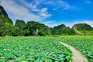 Chốn bình yên giữa lòng di sản