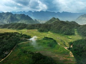 Khi rừng trở thành “vốn gốc” của kinh tế du lịch