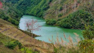 The rivers that sculpt the nation