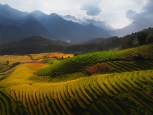 Nậm Cang tháng 8: Hành trình tìm về một Sa Pa Nguyên bản