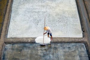 Sea winds and salt fields