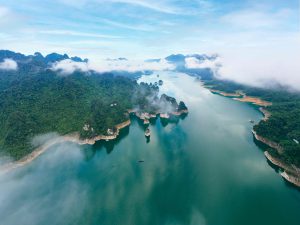 Khi đại ngàn vọng tiếng trở về