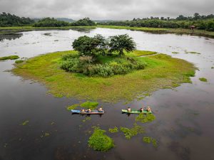 Cat Tien: Green spaces and a new rhythm