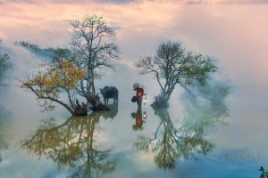 Rú Chá – Sắc thu xứ Huế