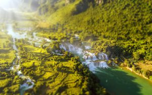 Golden rice and white water