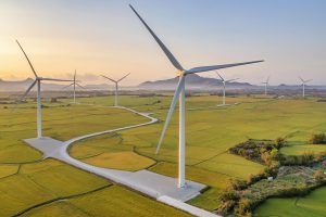 Green breezes across golden fields