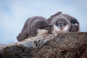 A season of happiness at the edge of the world