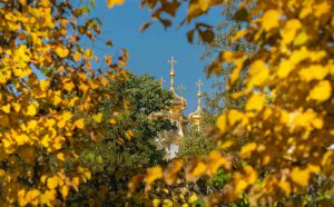 Where autumn becomes art
